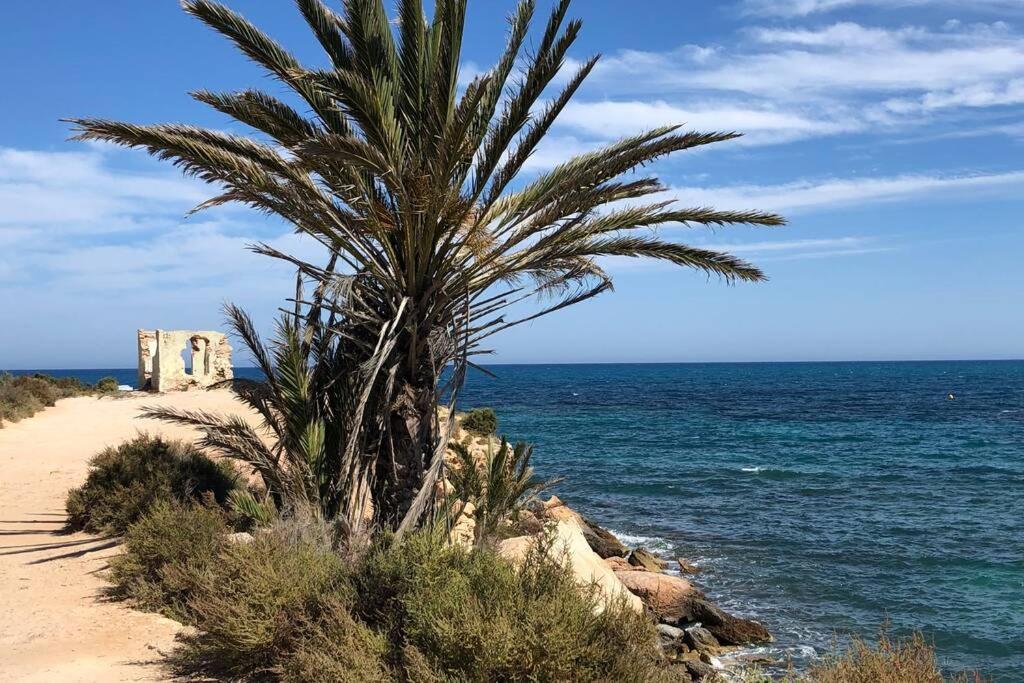 Oasis Beach Dream Holiday كوارذامار ذيل سيغورا المظهر الخارجي الصورة